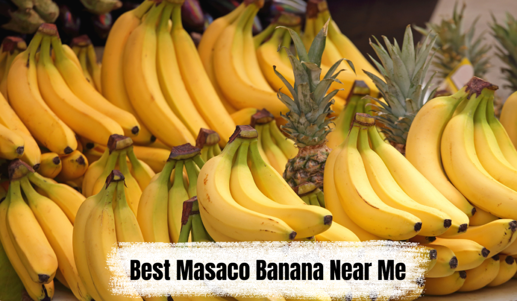 Best Masaco Banana Near Me